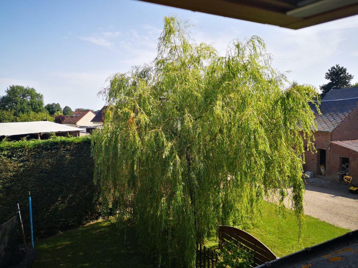 Gite A La Ferme - Baie De Somme Saint-Quentin-Lamotte-Croix-au-Bailly Bagian luar foto